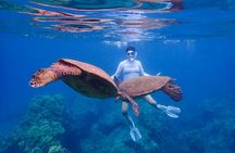  Private Kayak & Snorkel Tour (7am-10am)