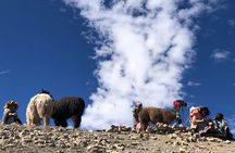 Private Experience Vinicunca Rainbow Mountain Full-Day from Cusco