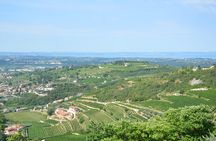 Pagus Wine Tours® - A taste of Amarone - Half day wine tour