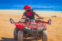 Camel Ride & ATV Combo in Migriño, Mexico