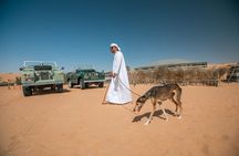 Dubai: Bedouin Culture Safari