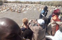 Private 10-Days Parks and Bassari Country Tour