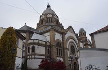 Novi Sad Private Walking Tour with a Professional Guide