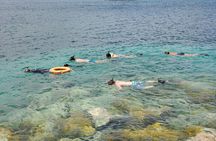 Snorkeling at Pigeon Island