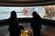 Bogotá Tour: Monserrate, Food, City Walk & Gold Museum or Botero