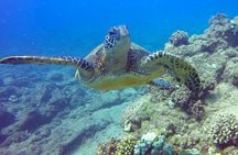 Ultimate Na Pali Coast Zodiac Boat Snorkeling and Sea Cave Tour