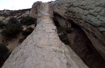 Rhodes Off Road Adventures Guided Jeep Tour from Rock Crawling to Petroglyphs