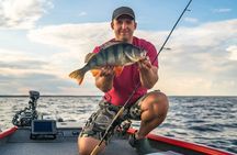 Fishing With Barbecue In Santos – Includes Fishing Gear And Supplies 