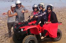 Essaouira: 1 Hour Dromedary + 2 Hours Quad