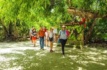 Private Guided Gumbalimba Park Tour from Roatán