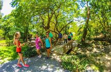 Private Guided Gumbalimba Park Tour from Roatán