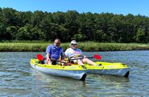 Guided Kayak Excursion Rehoboth Back Bay