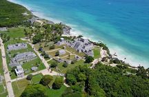 VIP Tulum & Turtles Private Tour