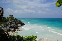 VIP Tulum & Turtles Private Tour