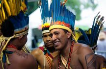 Itaguare Beach Private Tour with Indigenous Village from Santos