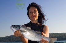 An Unforgettable Day With Fish, Wine and Olive Oil Tasting 