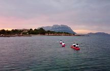 Sunrise Kayak Tour with Snorkeling and Coffee Experience