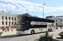Oslo Panorama Tour with Holmenkollen Ski Jump and Vigeland Park