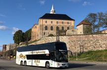 Oslo Panorama Tour with Holmenkollen Ski Jump and Vigeland Park