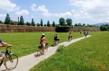 Self-guided Bike Tour from Lucca to Pisa