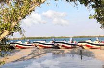 Small-Group Self-Drive Speedboat Tour in Yas Island Mangroves
