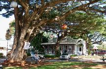 Shuttle from Waikiki to Oahu's North Shore 