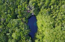 VIP Cenotes & Turtles Private Tour
