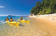 Kayak & Pitt Head Nature Loop - Guided Kayak & Unguided Walk - New Zealand