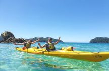 Kayak & Pitt Head Nature Loop - Guided Kayak & Unguided Walk - New Zealand