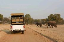 Full-Day Trip Chobe National Park Safari 
