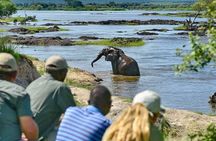 Full-Day Trip Chobe National Park Safari 