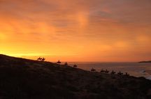 Horseback Riding Experience in Rancho San Cristobal