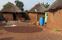Cultural Village Tour: Traditional Naming Ceremony