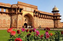 Best of North India Tour