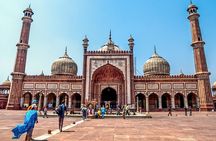 Best of North India Tour