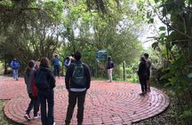 Salt Cathedral & Guatavita Lake Tour: Towns + Meals
