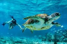 Private Tulum Mayan Ruins & Swimming with Turtles Experience