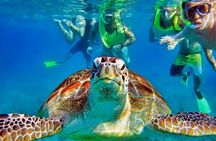Private Tulum Mayan Ruins & Swimming with Turtles Experience