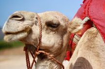 Tangier Private Customized Tours