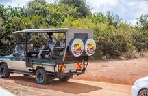 Nairobi National Park Game Drive - Shared Experience in Open Jeep