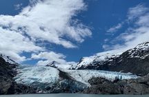Valley of Glaciers Experience with Portage Glacier Cruise and Wildlife Tour