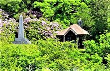 Lough Corrib History and Scenic Lake Cruise from Lisloughrey Pier Tour