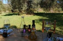Sardinian Olive Oil tasting & Picnic among the olive trees