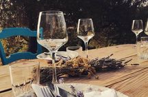 Sardinian Olive Oil tasting & Picnic among the olive trees