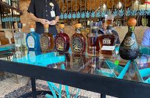full day Tequila tour visiting artisanal distillery and downtown.