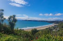 Waiheke Island Half Day Scenic Wine and Lunch