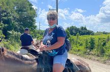 Horseback riding tours by the Beach