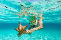 All Day Snorkel Package with Wetsuit Rental