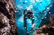 All Day Snorkel Package with Wetsuit Rental