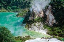 7hr Waimangu Geothermal Valley & Lake Rotomahana Tour - Departs Tauranga
